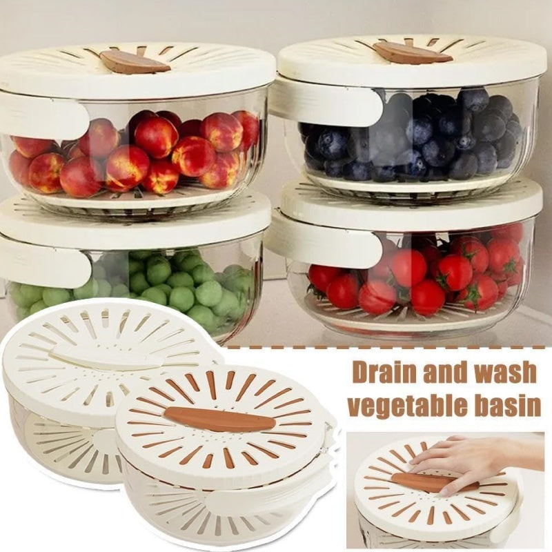 Plastic fruit container for storage and washing – Lebanon