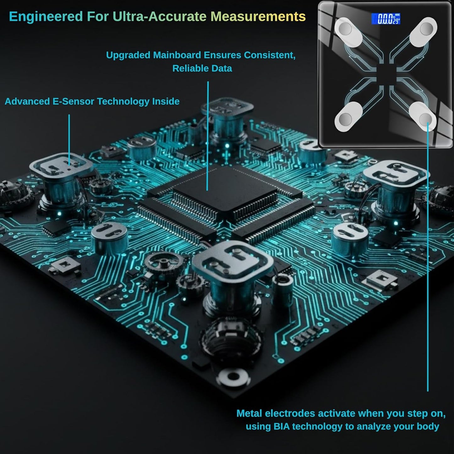 Body Composition Scale